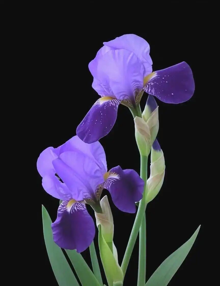 thumbnail of the cover of the post